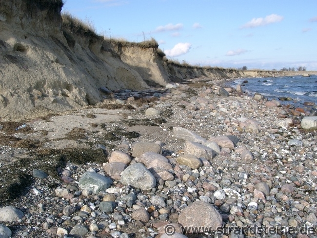 Steilk&uuml;ste der Ostsee