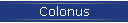 Colonus